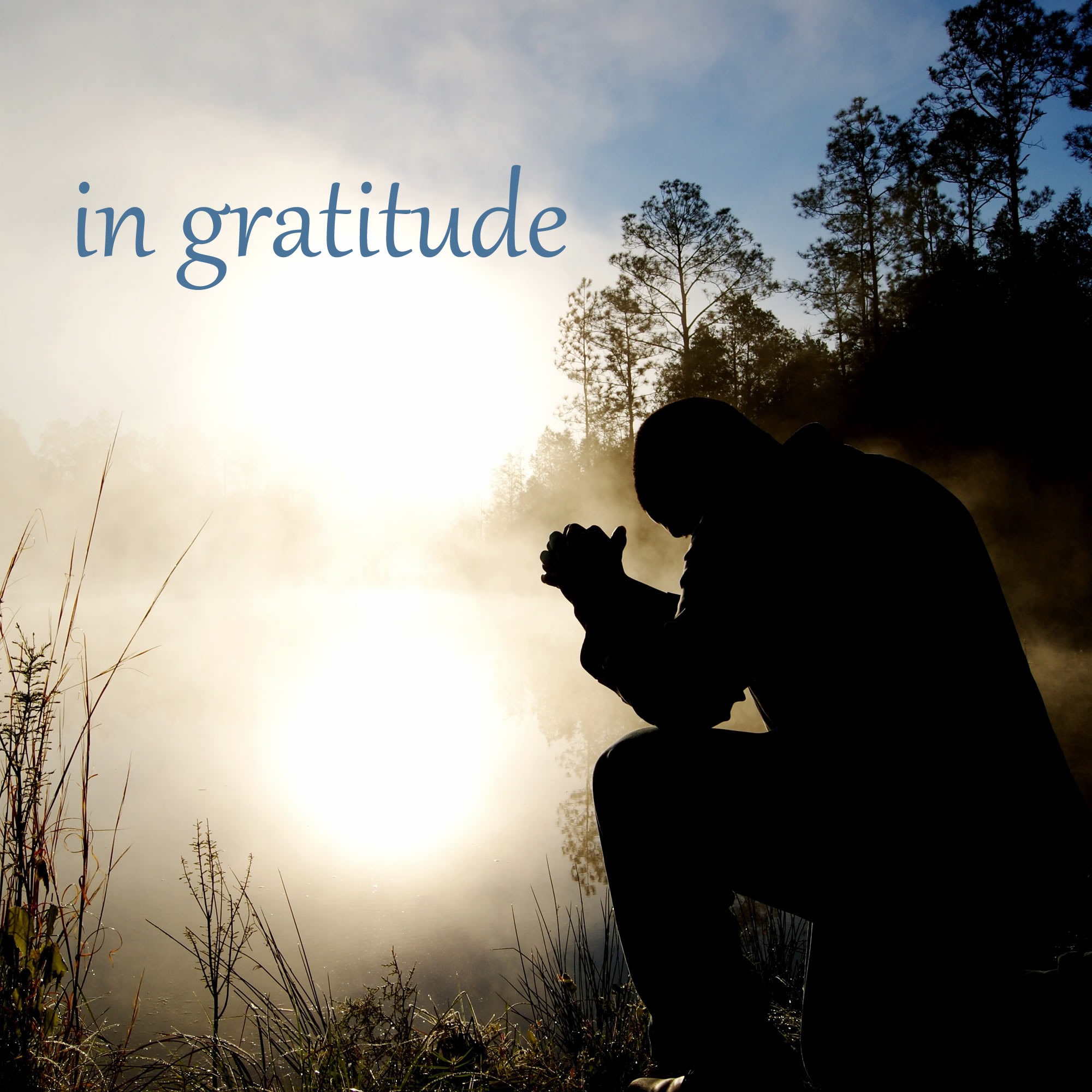 Music for Healing on a Tired Planet featured image