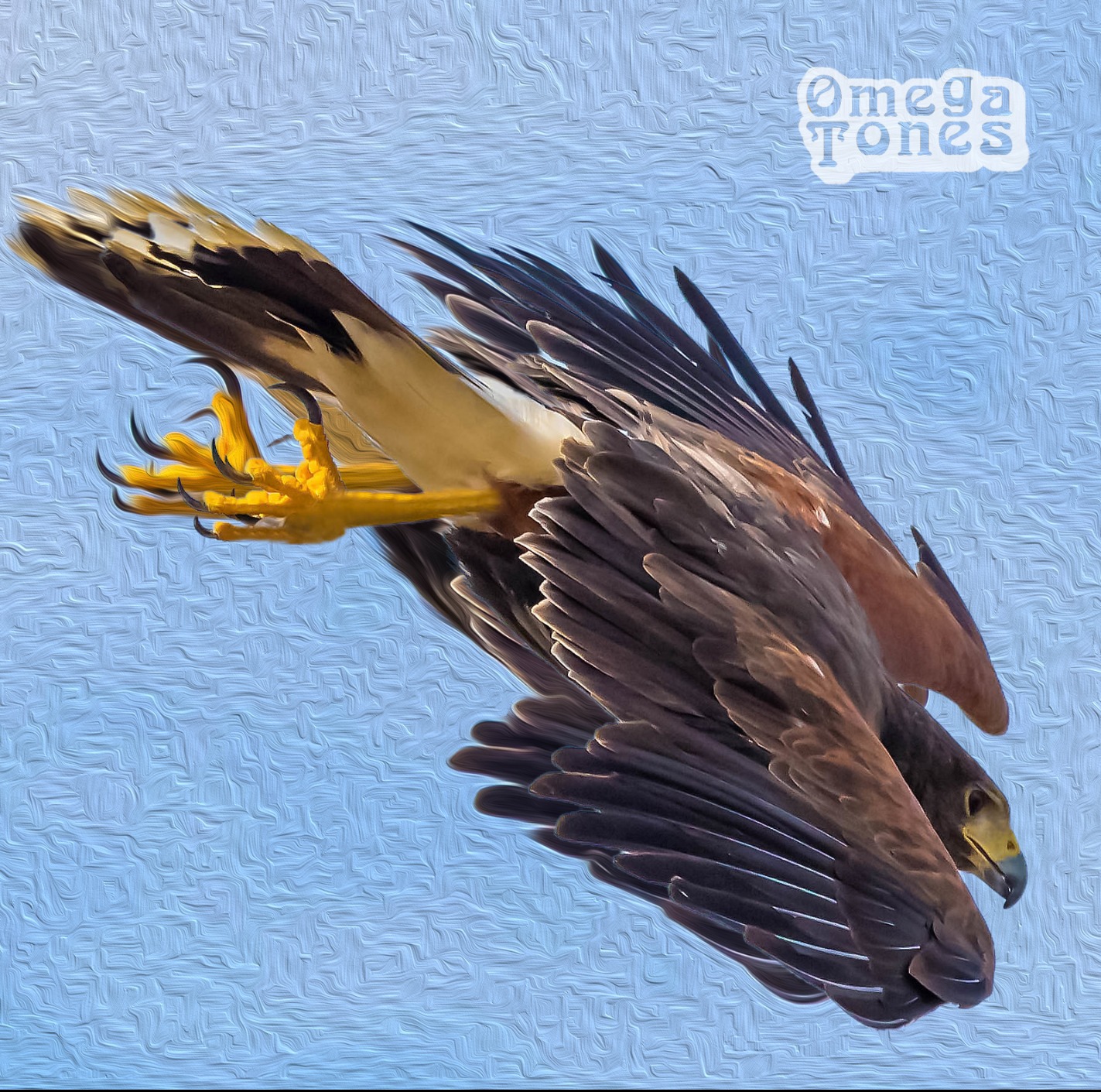 Oakland’s Omega Tones releases new album featured image