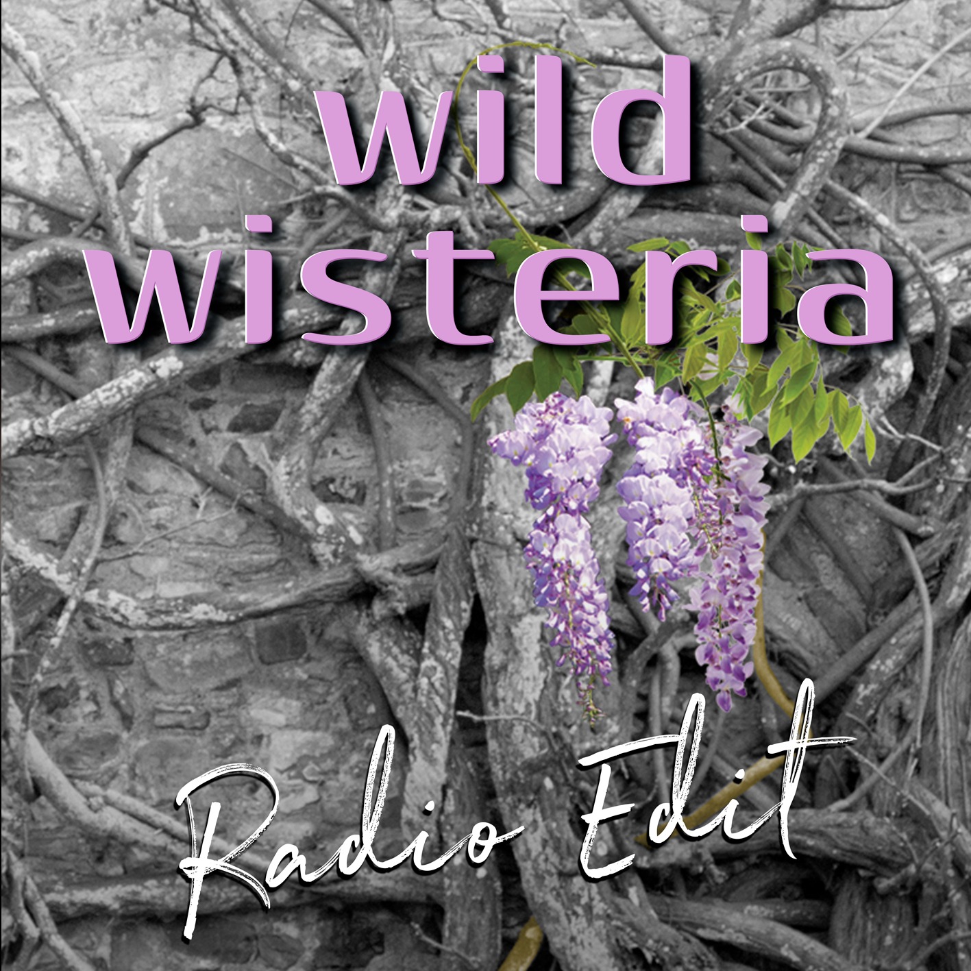 Authentic and Spirited Indie and Rock Fusions – Wild Wisteria Amaze Audiences with Self-Titled 3rd Album ‘Wild Wisteria’ featured image