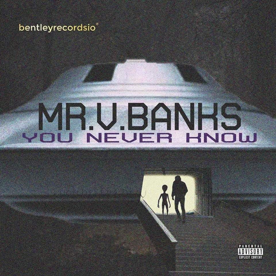 Discover the Essence of Life’s Uncertainties in “You Never Know” by Mr. V. Banks featured image