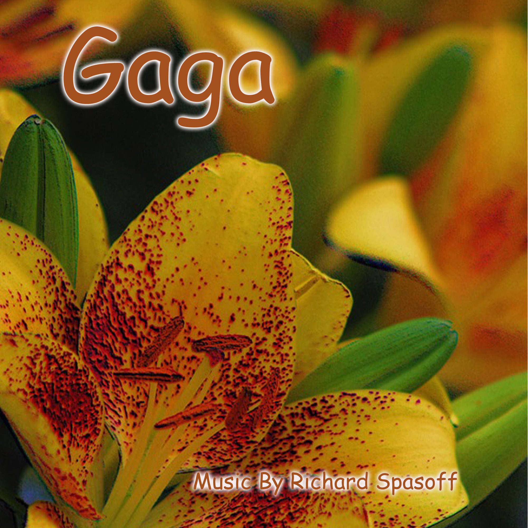Igniting Reflection through Rich, Inventive, and Experimental New Age Anthems: Richard Spasoff Unveils Ground-Breaking New Album ‘GAGA’ featured image