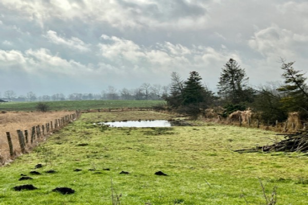 Klintmoor – Music from the northern Hemisphere featured image