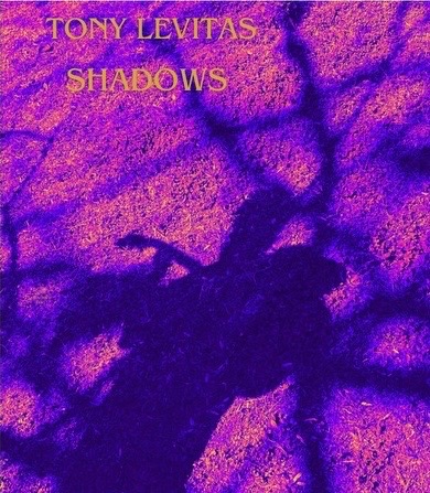 Talented Artist Tony Levitas Triumphs with New Album “Shadows” Following Near-Death Experience featured image