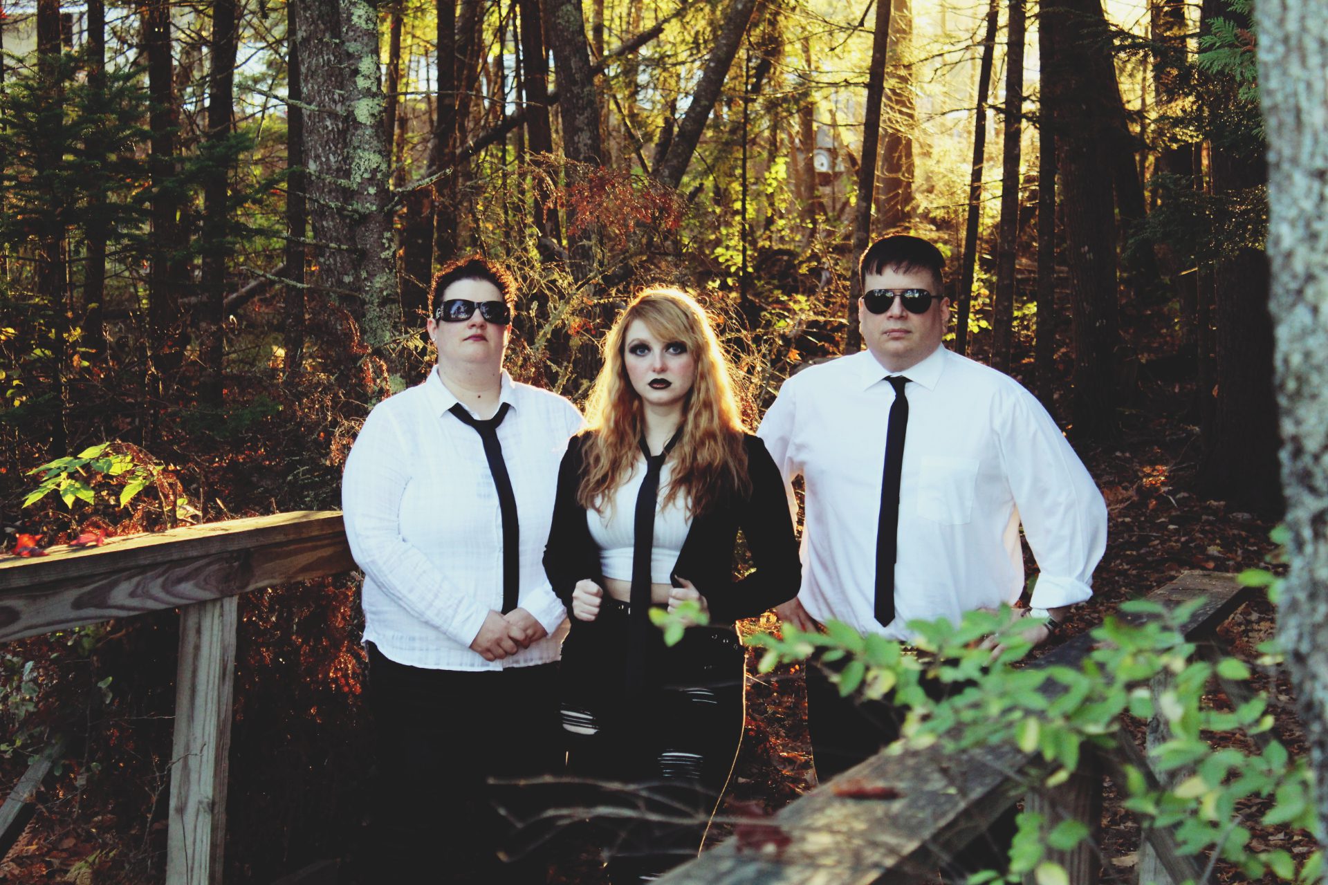 New Exciting Single from Alternative Band Vices Inc featured image